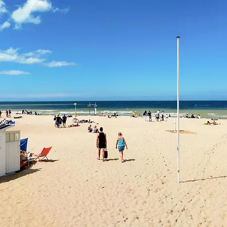 Awesome In With Wifi Ostend